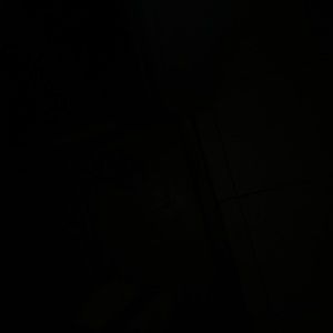 Meet your Posher, Katy